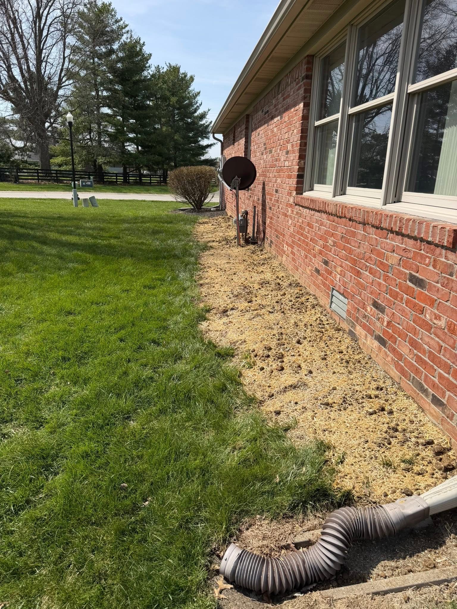 Buried downspout drainage line being installed in a trench