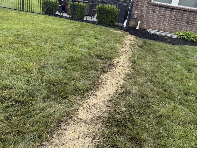 Restored lawn showing the healed line of a completed drainage run