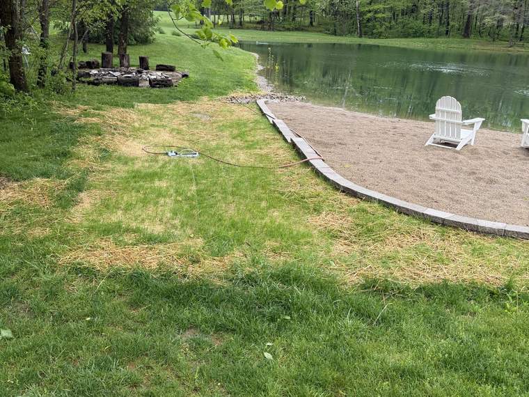 Finished pond beach with chairs set out and the surrounding lawn restored